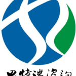 思特瑞咨询的公司图标