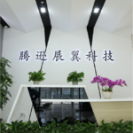 腾逊展翼科技的公司图标