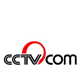 CNTV公司标志