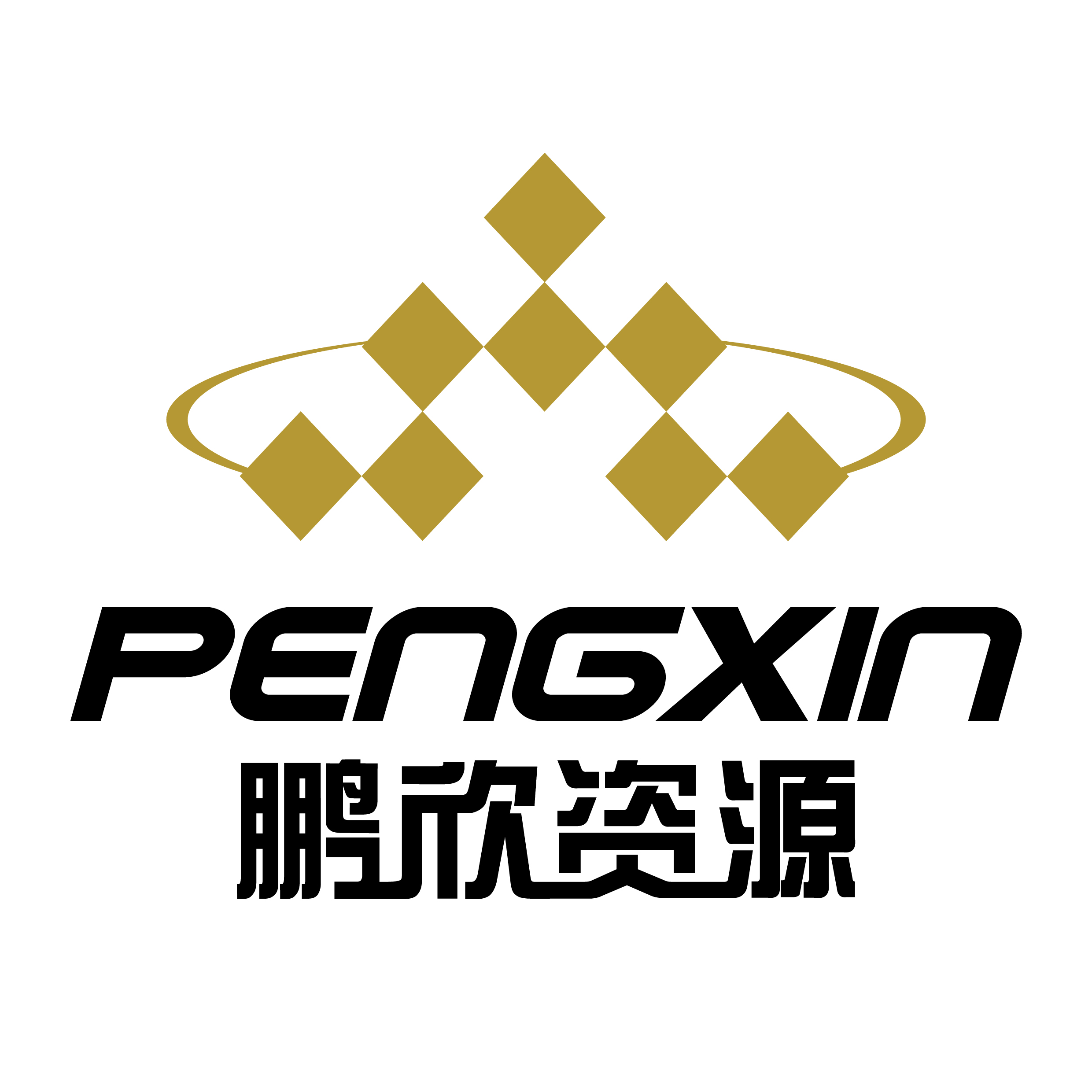 鹏欣资源公司标志