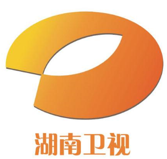 湖南卫视公司标志