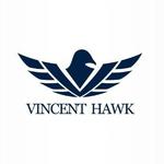 VincentHawk的公司标识