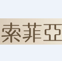 索菲亚家居股份有限公司的公司图标