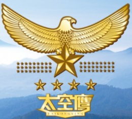 太空鹰航空企业集团有限公司公司标志