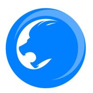 深圳市理奥网络技术有限公司公司标志