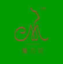 北京爱思博特国际教育投资有限公司公司标志
