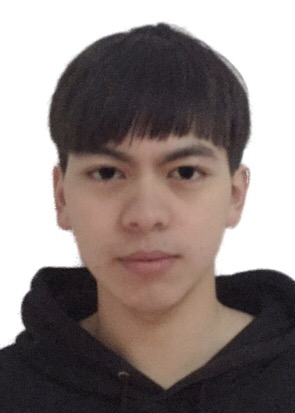徐辉公司标志
