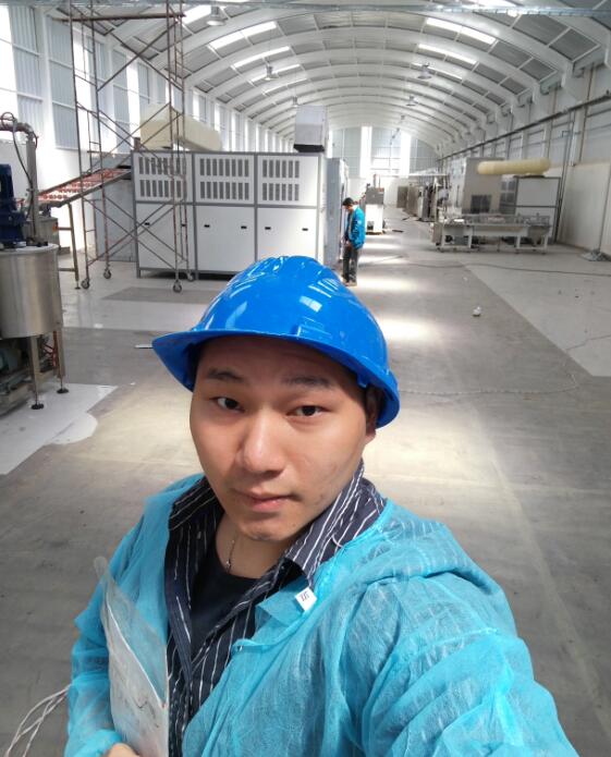 何英伟公司标志