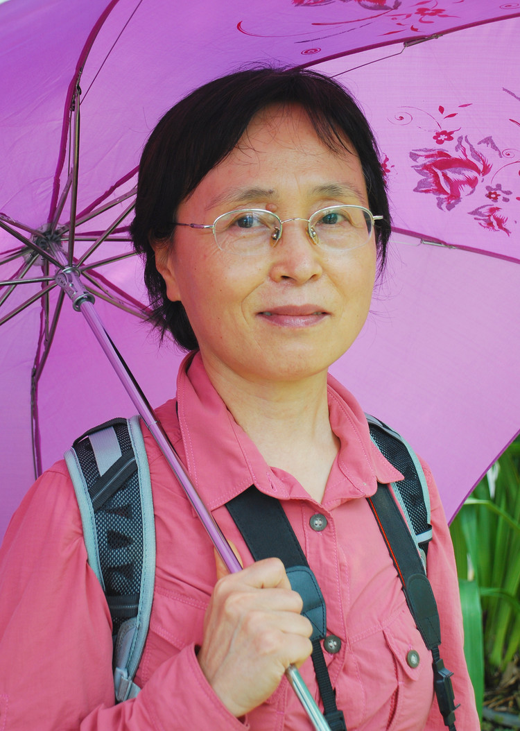 谢廖沙公司标志