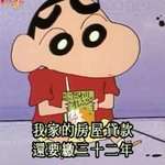 陈洲帆公司标志